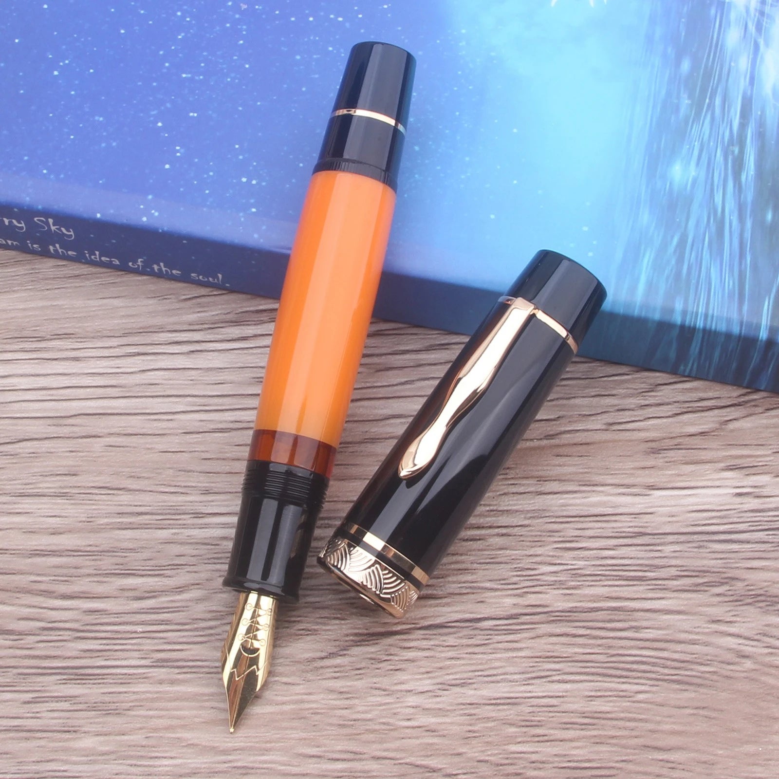Flex Nib Fountain Pen